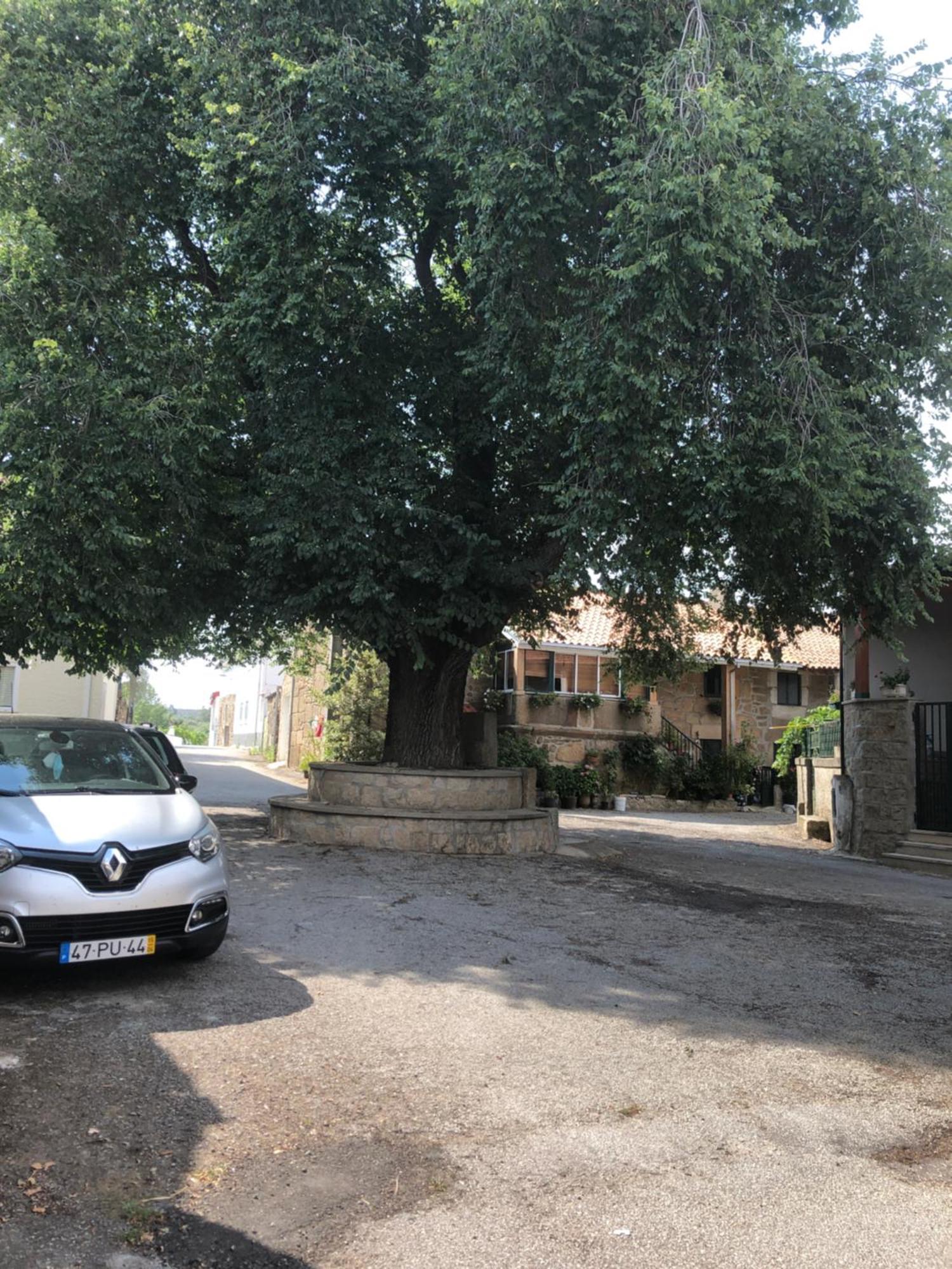 Casa Do Pardal *